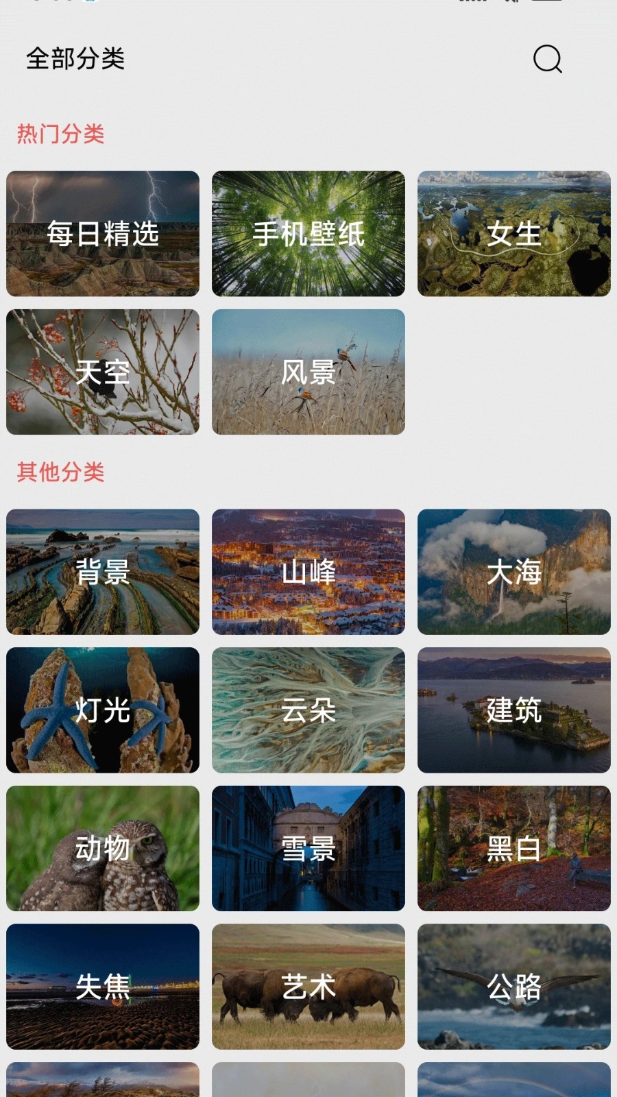 伞果壁纸手机最新版(3)