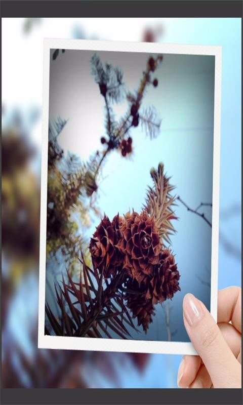 趣拍玩图照相机直装版