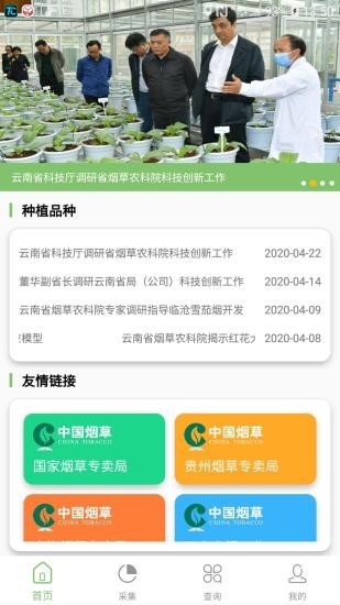 看叶识熟无广告版图1