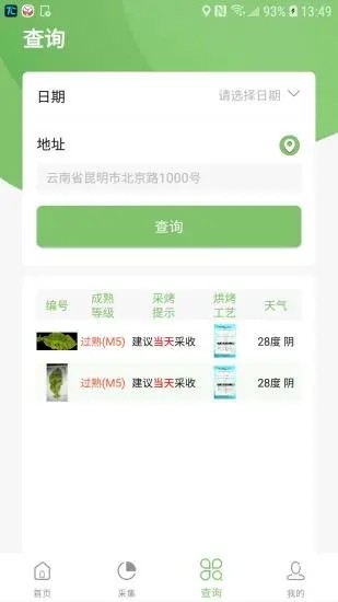 看叶识熟无广告版图4