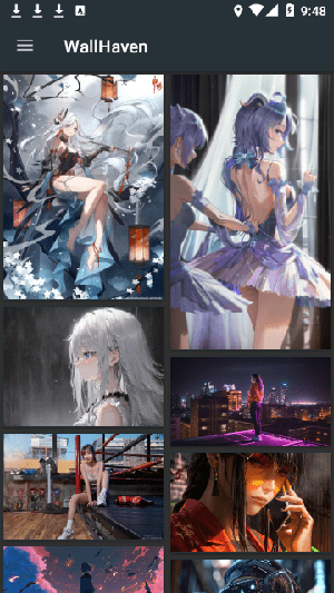 wallhaven手机版(4)
