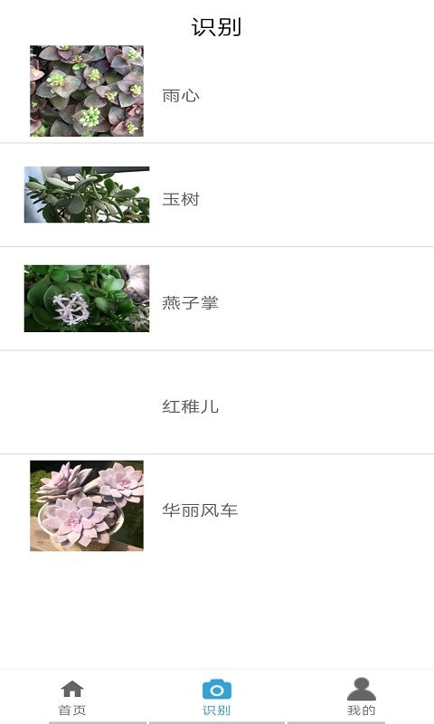 桃桃识植物免费版图3