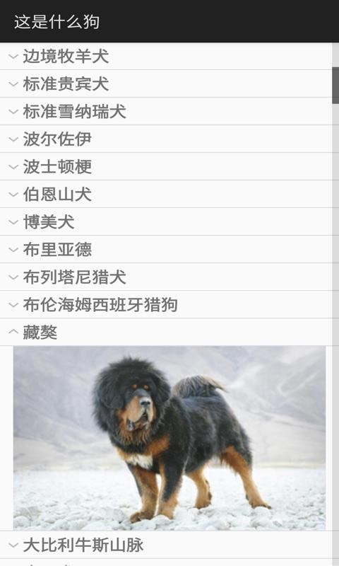 这是什么狗免费原版