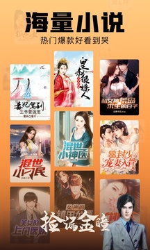 洋葱小说官方版图2