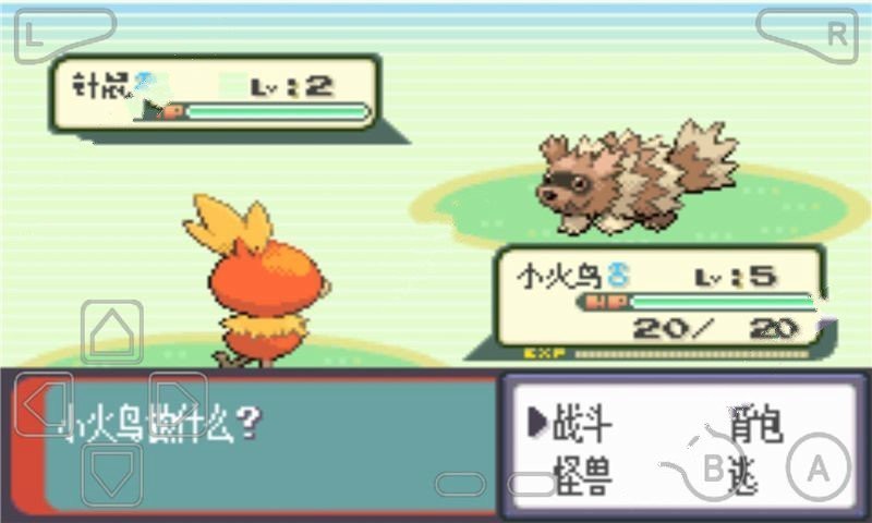 口袋妖怪绿宝石493最终版(2)