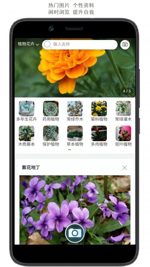 行色识花正版图1