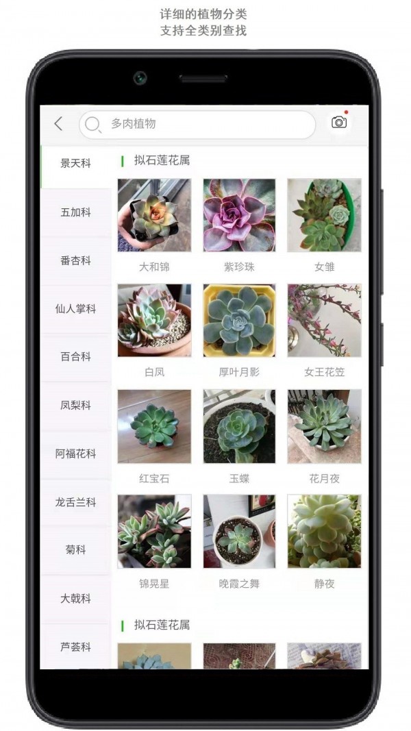 行色识花正版图2