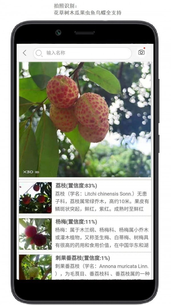 行色识花正版图3