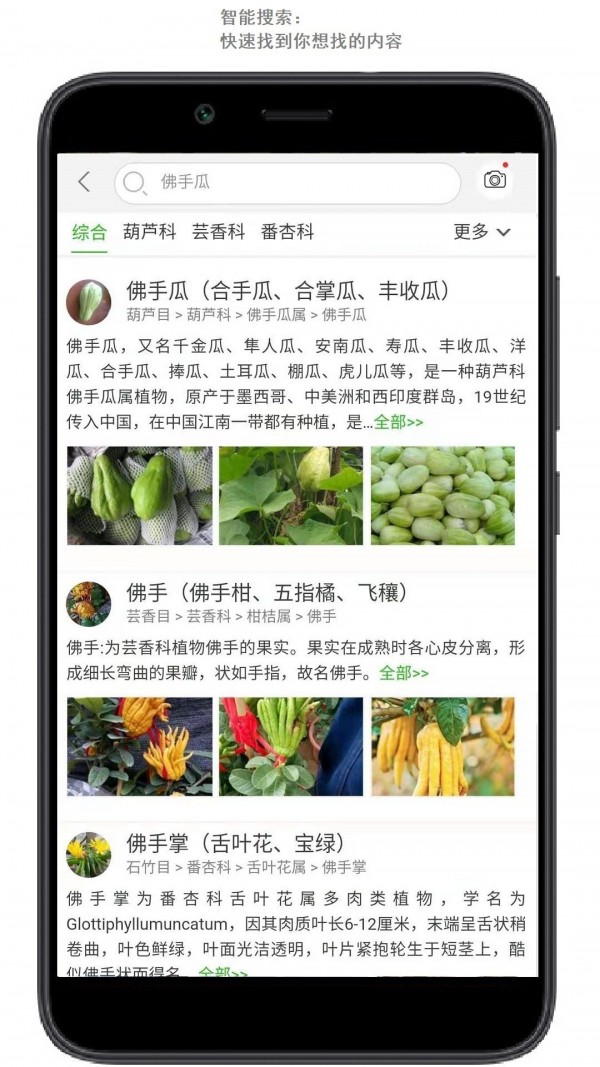 行色识花正版图4