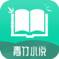 青竹小说无广告版