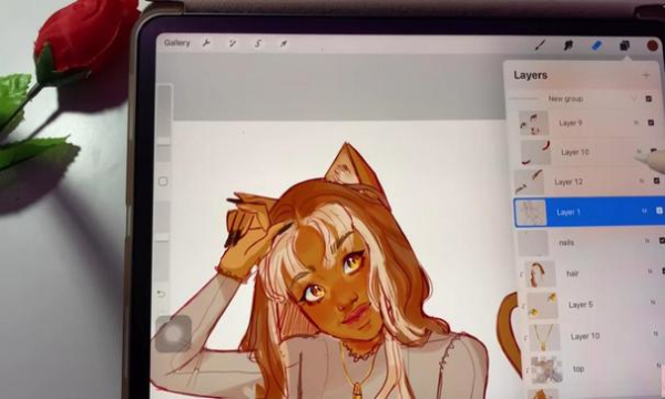 procreate直装版图1