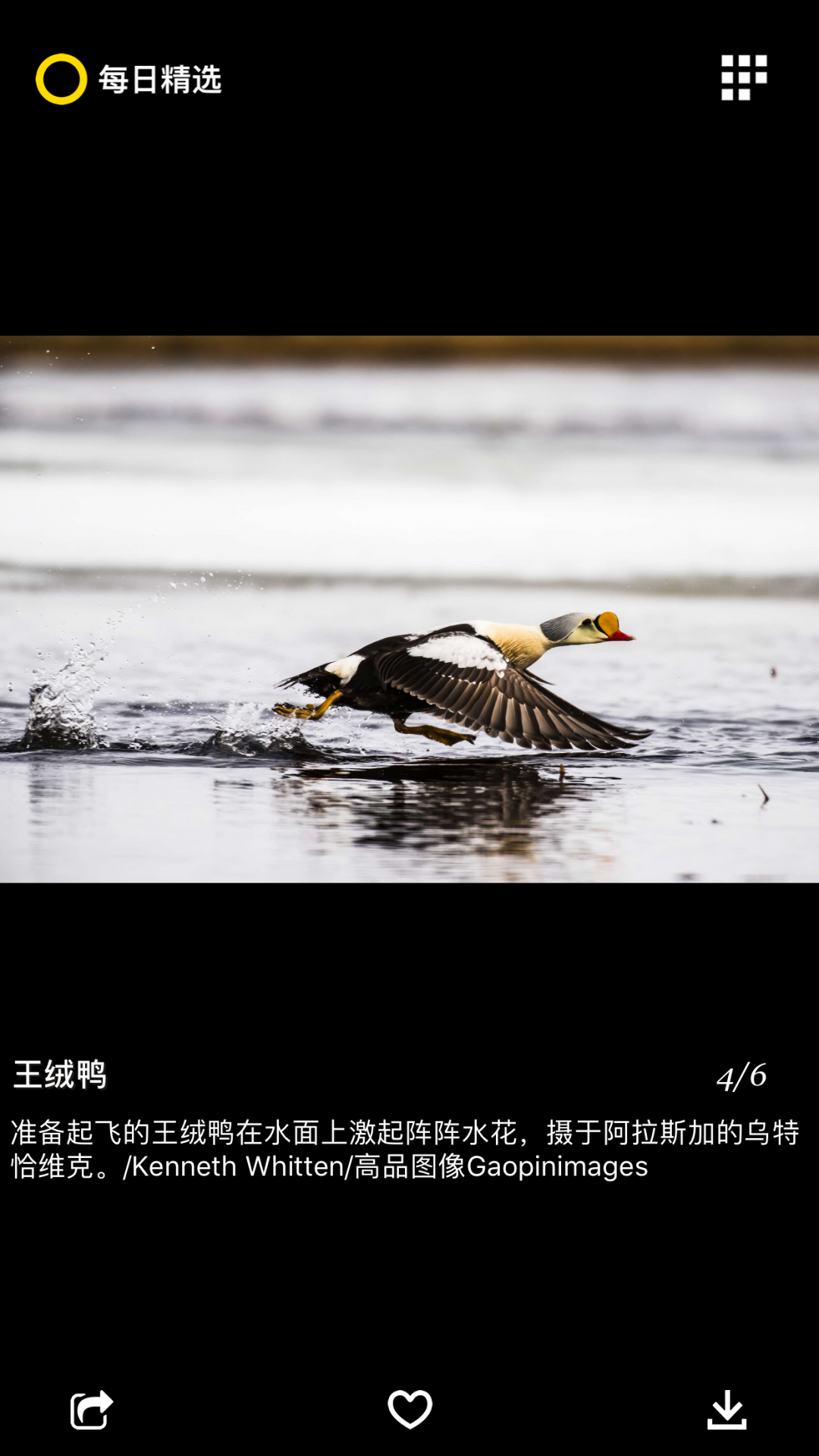 每日精选最新版图1