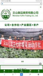 讯志康图3