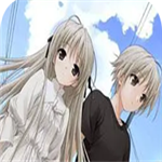 缘之空手机正版