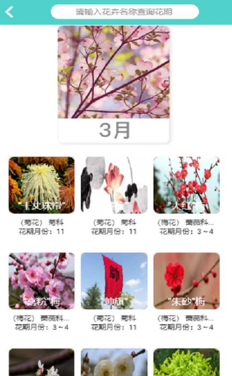 植物科普手机免费版
