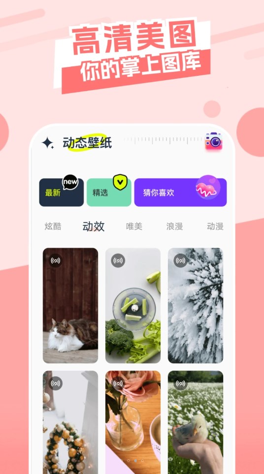 主题库精灵手机最新版