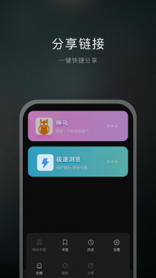 双子星浏览器正版(1)