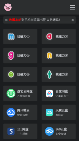 bt磁力猪磁力搜索手机版图2