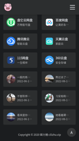 bt磁力猪磁力搜索手机版图3