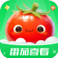番茄喜看安卓免费版