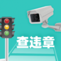 交通违章随手拍官方正版 V2.0.3