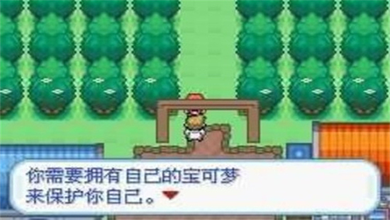 口袋妖怪梦的光点图3