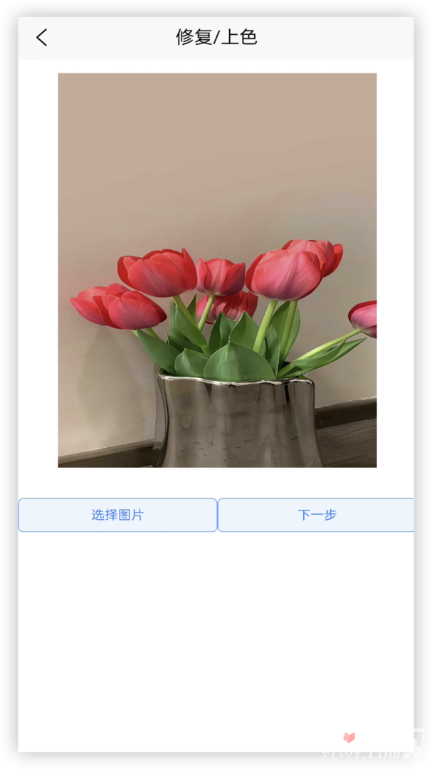年龄相机手机最新版