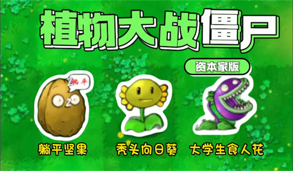 植物大战僵尸资本家版(3)