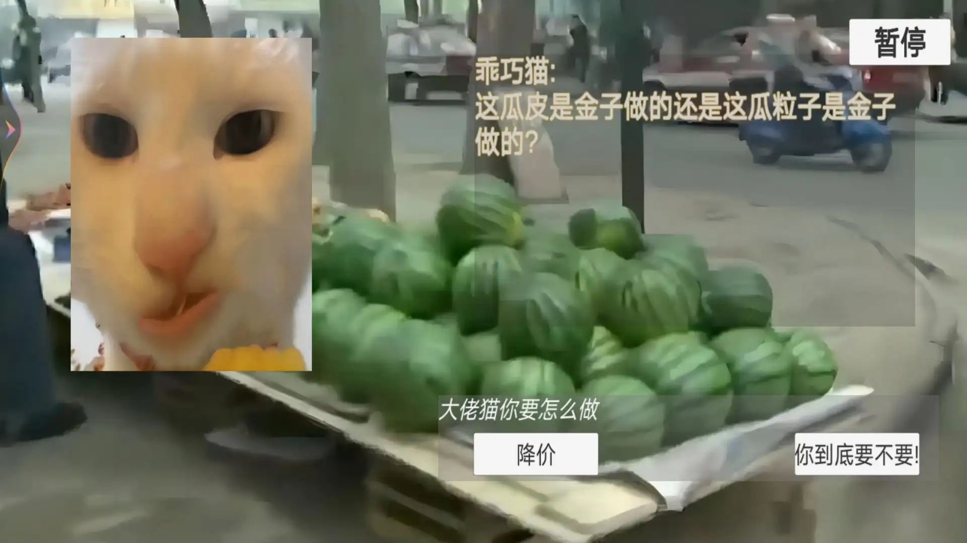 猫meme搞怪冒险(2)