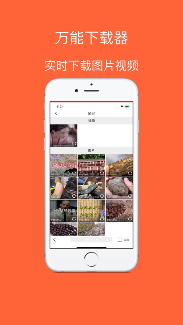 飞鸟浏览器直装版图4