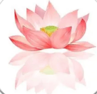 荷花工具箱安卓版