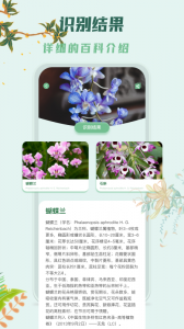 识花君最新版图3