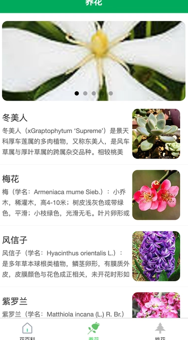 润天花园最新版