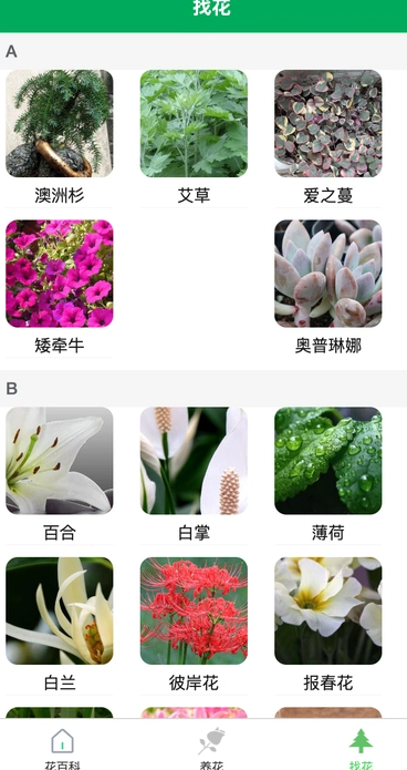 润天花园最新版