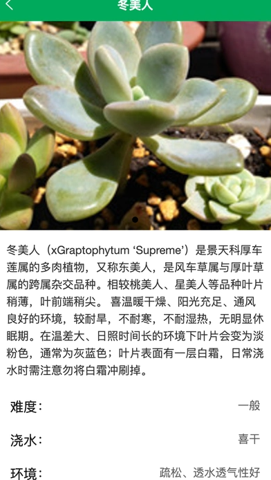 润天花园最新版