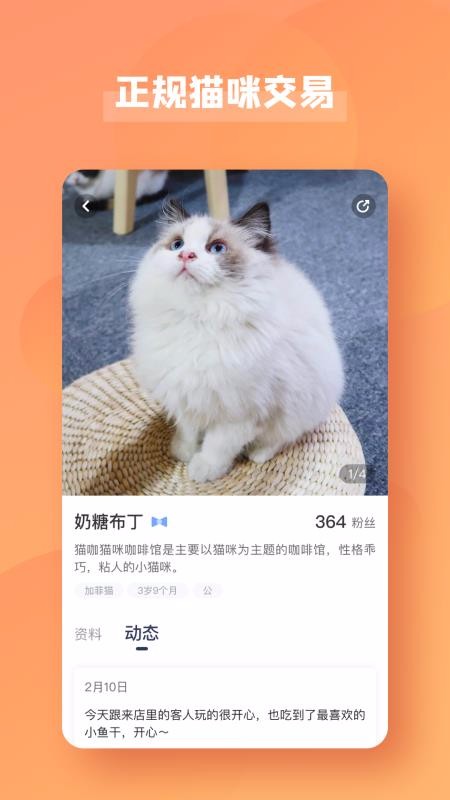 宠酱安卓版图3