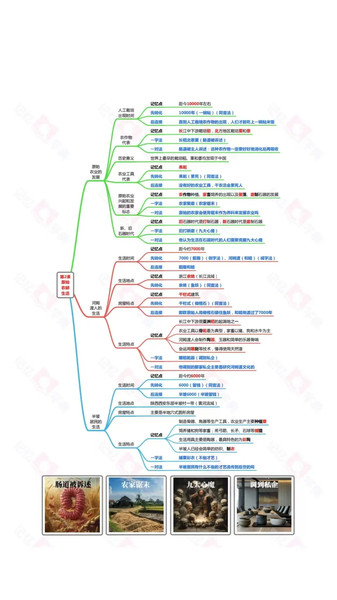 记忆字典通用版