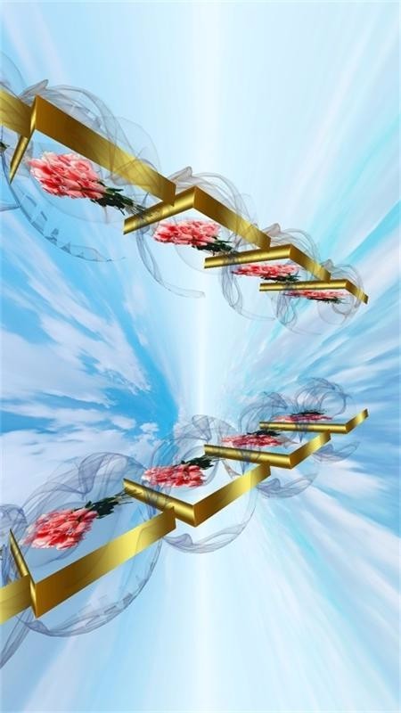 幻影3D安卓官方版