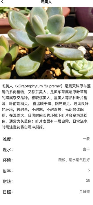 土豆植物最新版