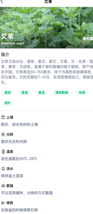 土豆植物最新版