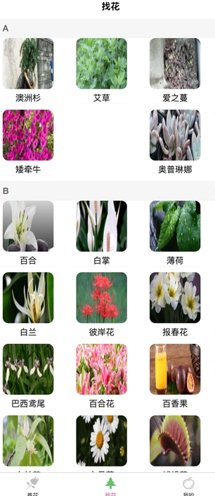 风铭植物安卓直装版(2)