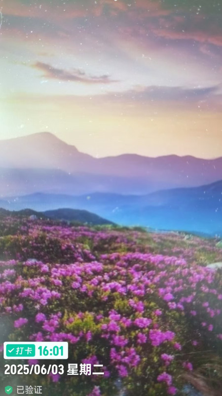 工程水印相机打卡拍照原版