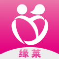缘莱社交手机版