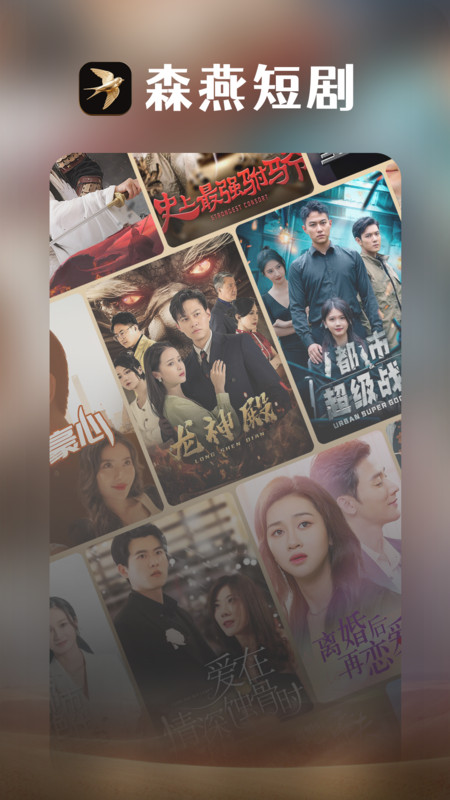森燕安卓直装版图2