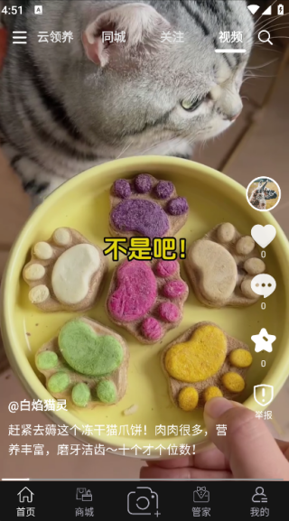 outlets手机正版