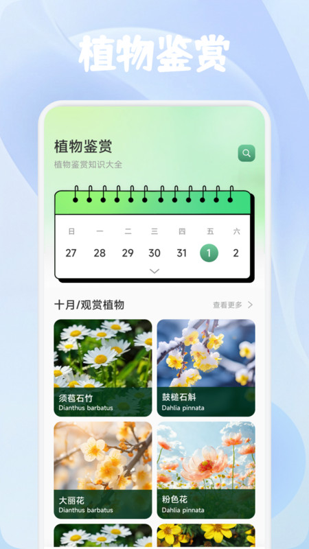 鑫合盛花最新免费版