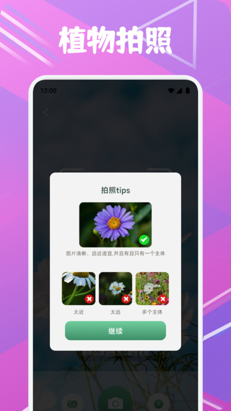 鑫合盛花最新免费版