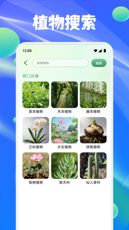 鑫合盛花最新免费版
