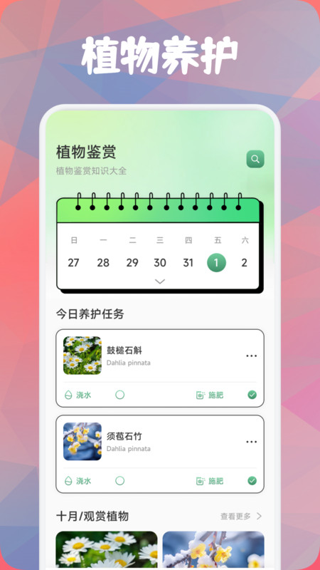 鑫合盛花最新免费版