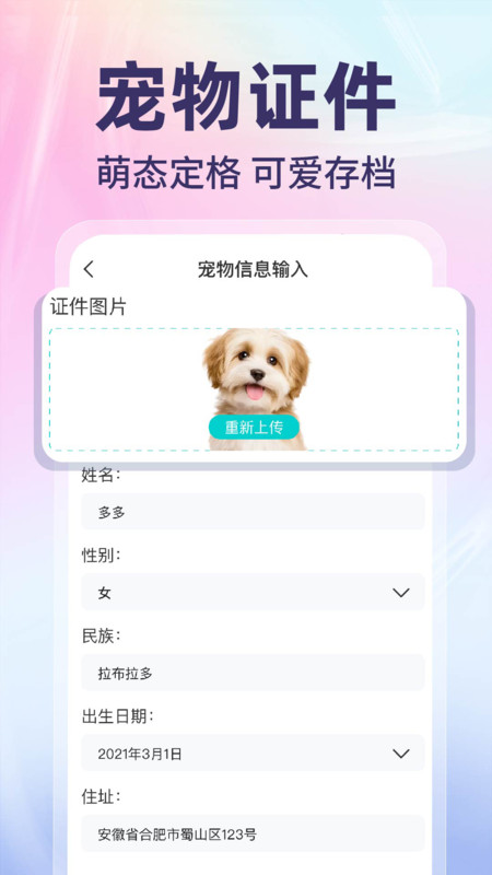网络电子证件管家正版图1